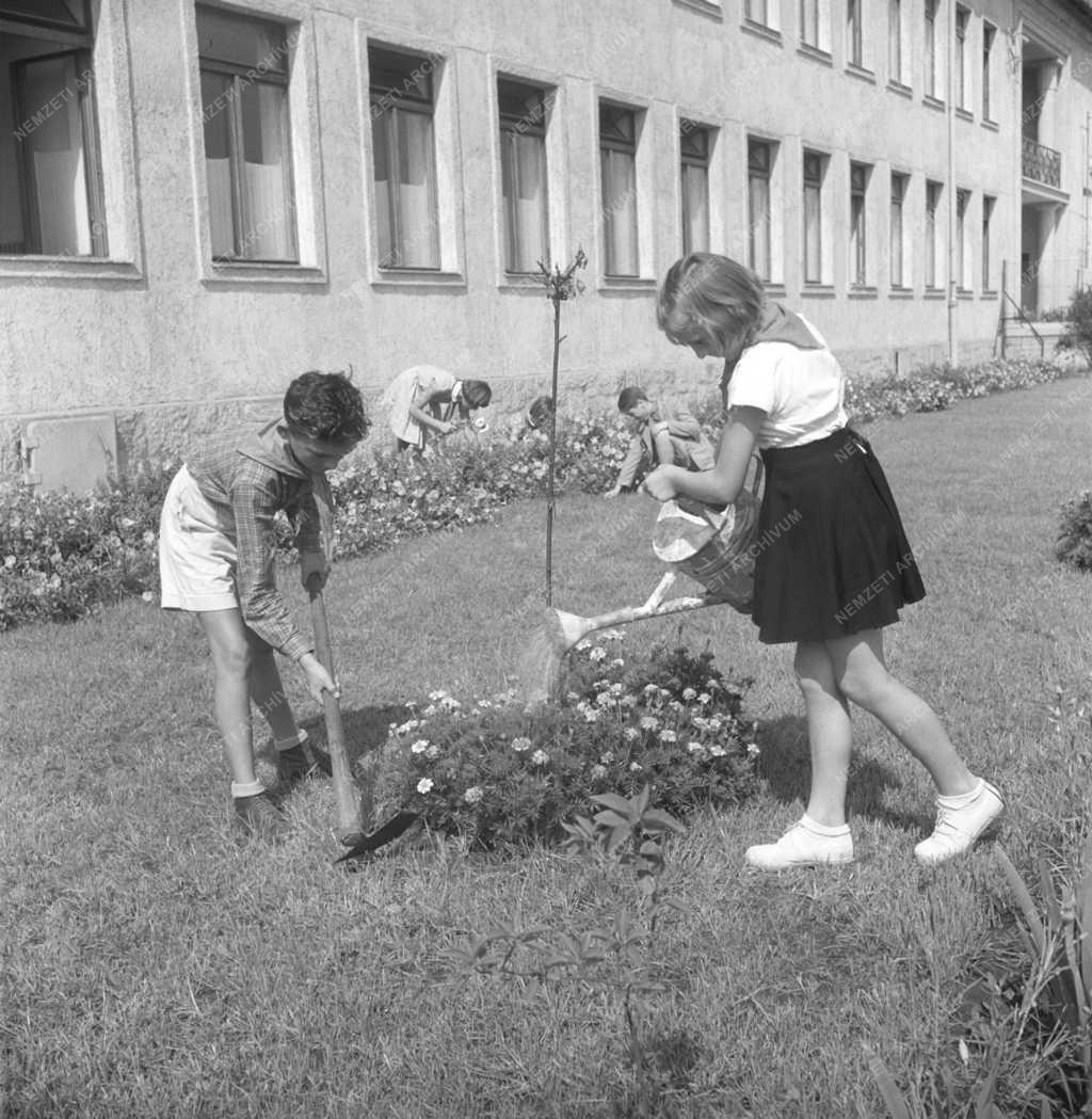 Városfejlesztés - Parkosítás a kőbányai iskolánál