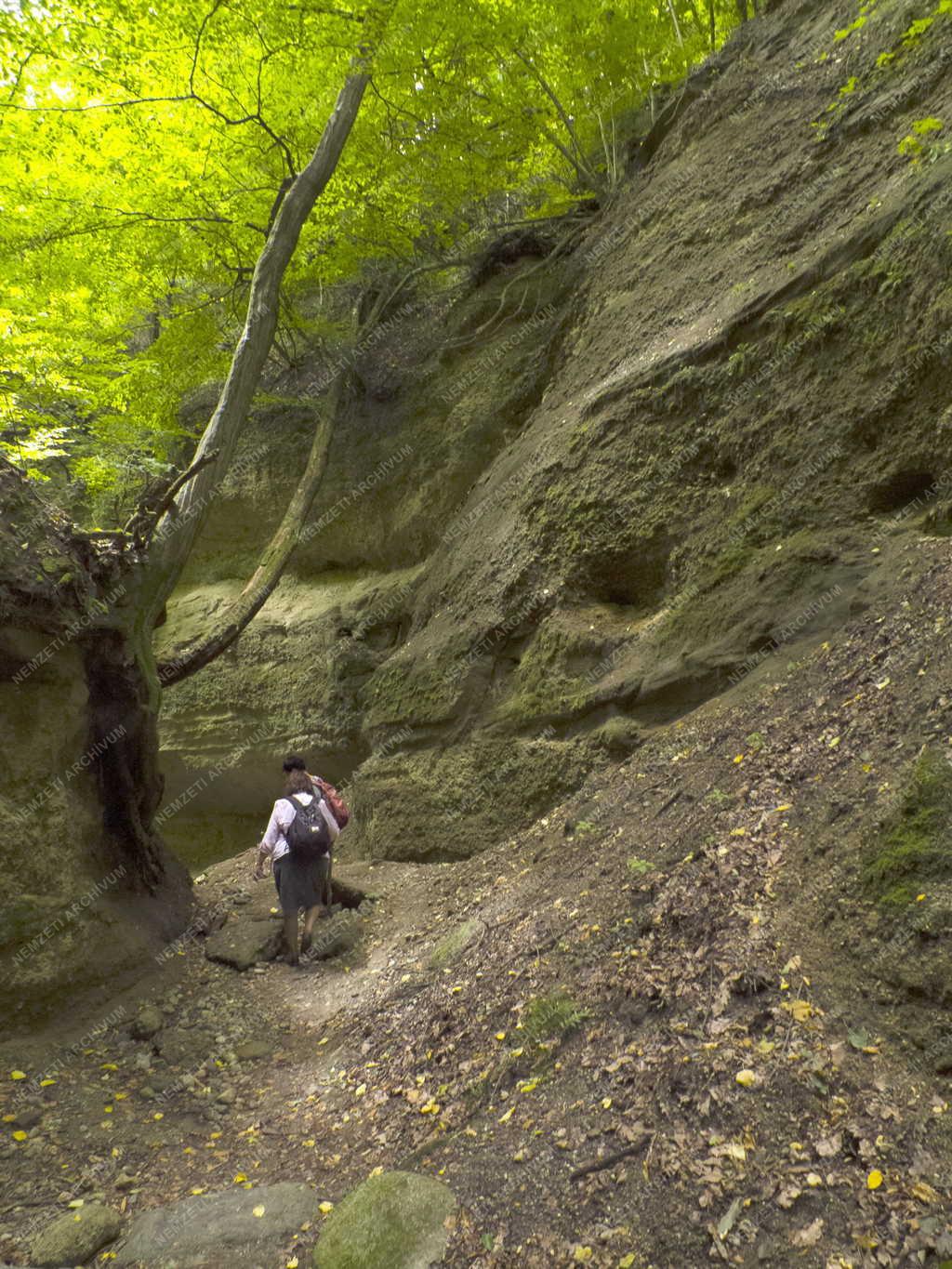 Természet - Nógrádszakál - A Páris-patak völgye