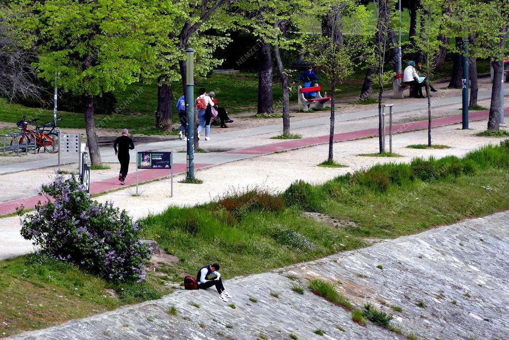 Városkép - Budapest - Tavasz a Margit-szigeten