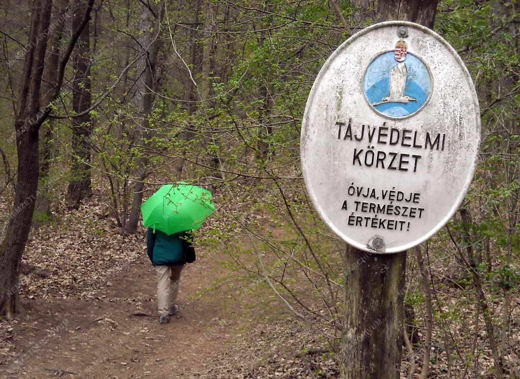 Budapest - Természet -  Természetjárás