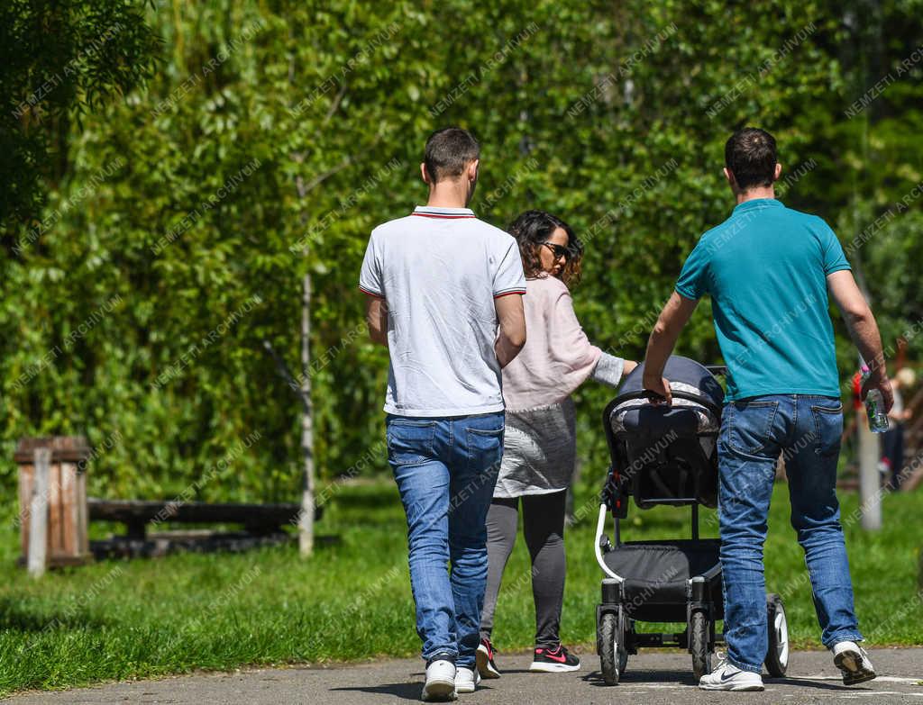 Természet - Debrecen - A Vekeri-tó Erdőspusztán