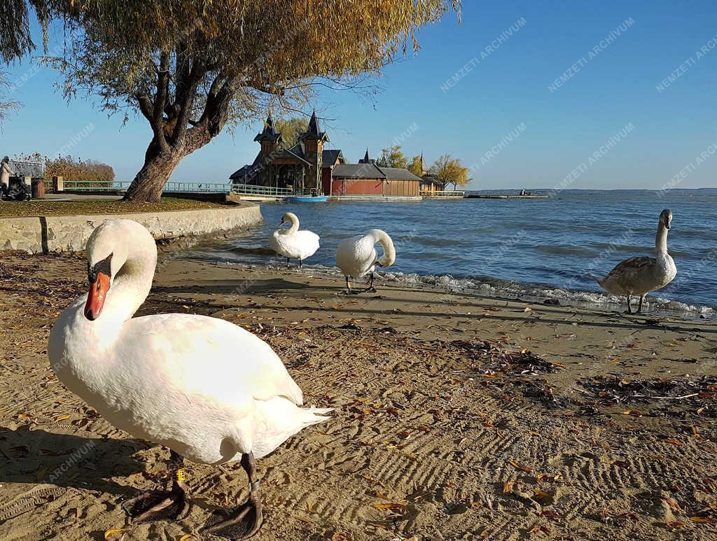 Természet - Keszthely - Az őszi Balaton