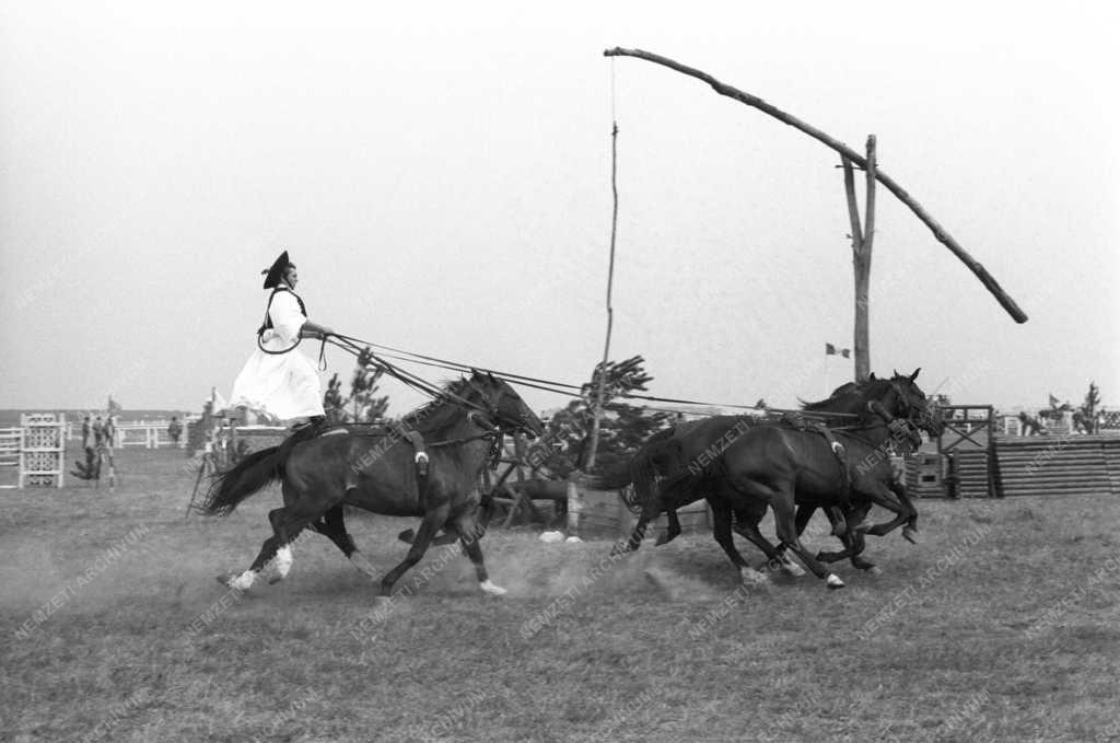 Rendezvény - XV. Kiskunsági Pásztor- és Lovasnapok Apajpusztán