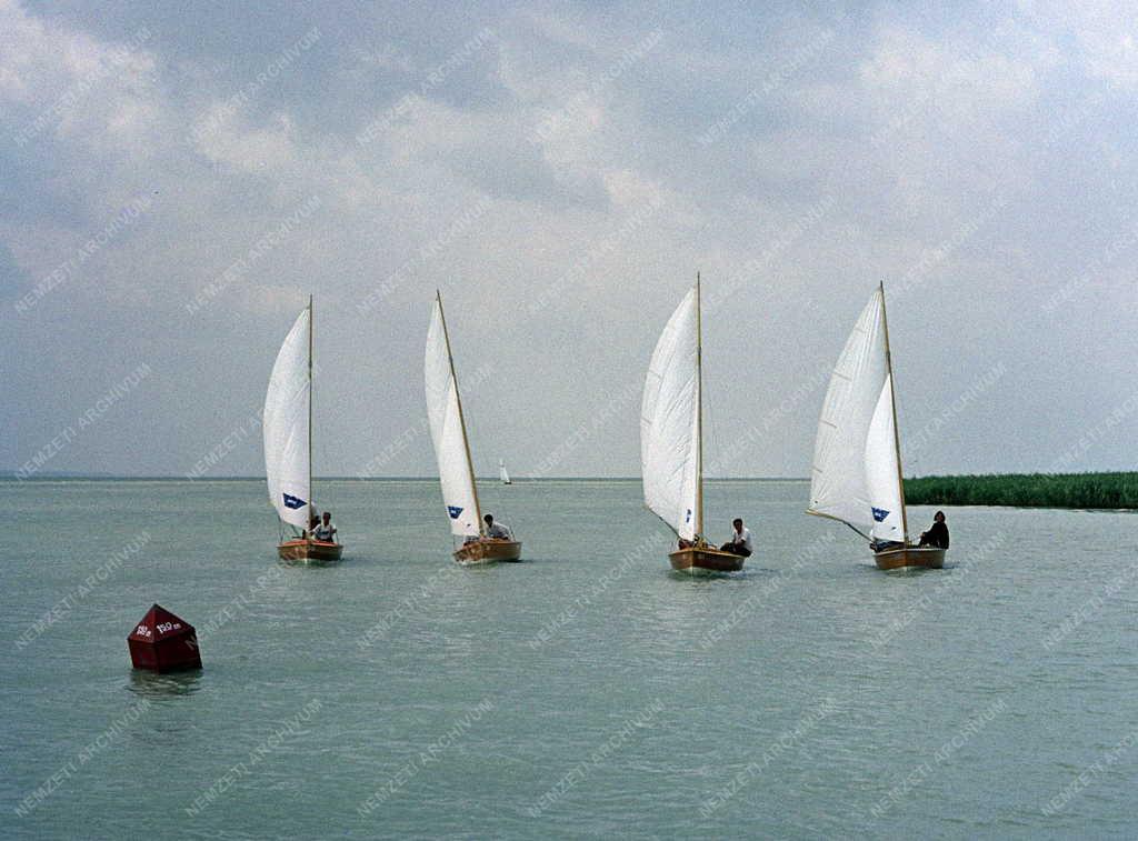 Magyarországi képek - Balaton - Vitorláskölcsönzés