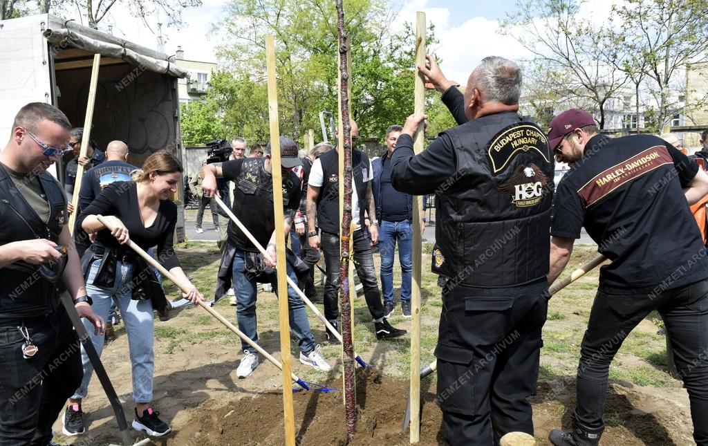 Természetvédelem - Közlekedés - Fákat ültetett a Budapest Chapter Zuglóban