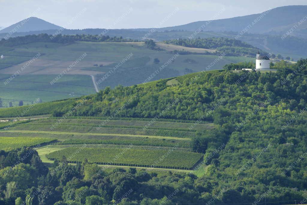 Település - Tarcal - Szent Teréz-kápolna a Henye dombon