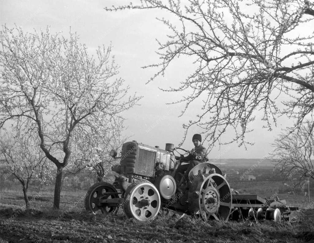 Mezőgazdasági munkák - Növénytermesztés - Törökbálinti ÁG 