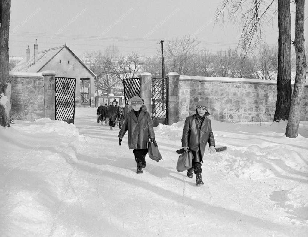 Oktatás - Erdei kollégium Nagykovácsiban