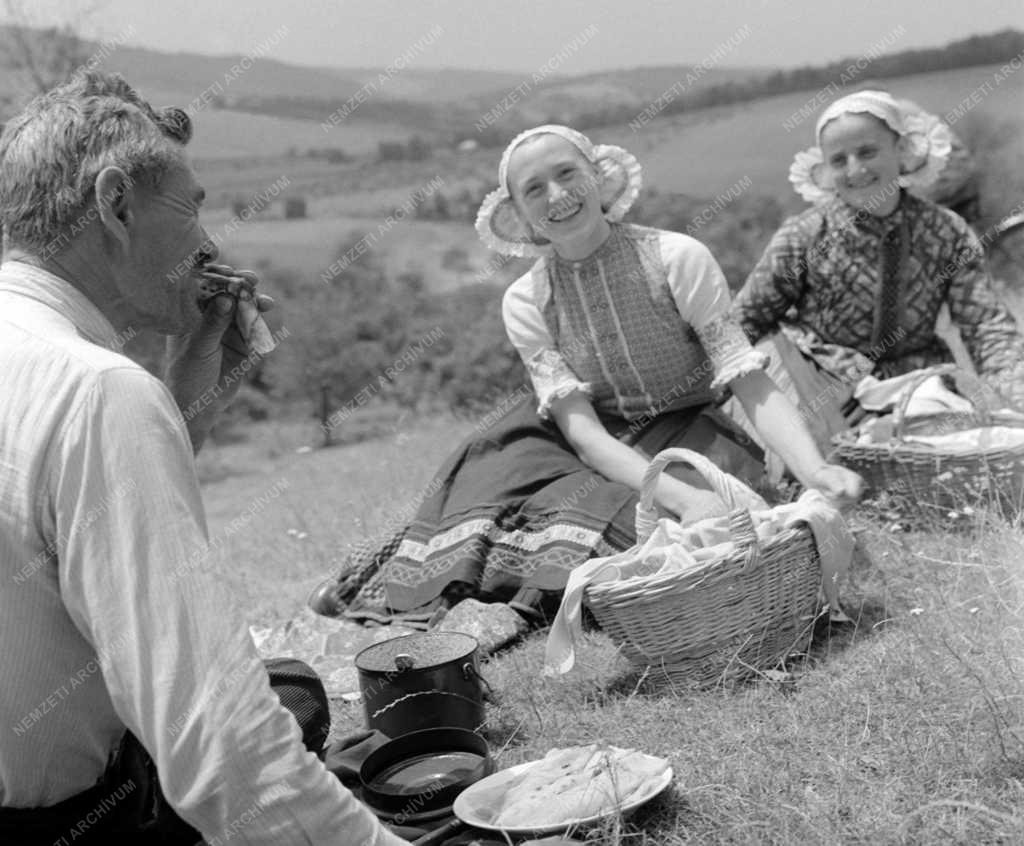 Mezőgazdaság - A csővári Virágzó Tsz-ben