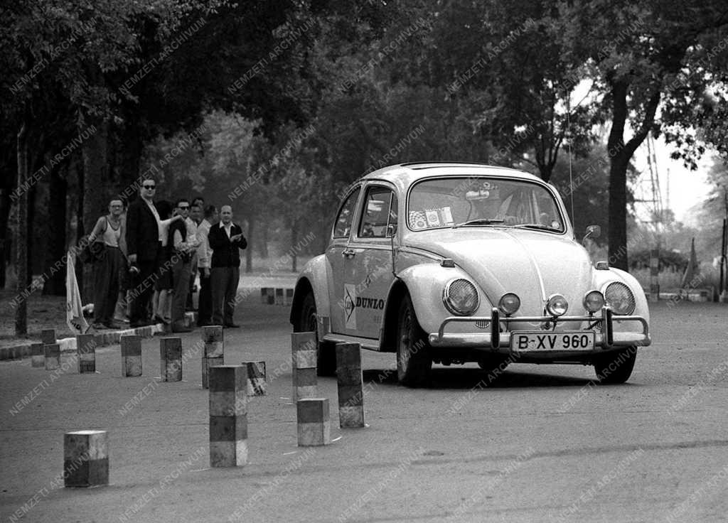 Hobbi - Volkswagen-találkozó a Népligetben