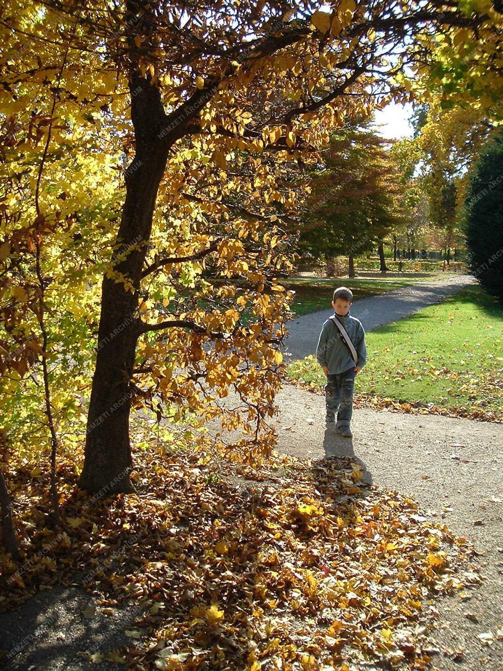 Bécs - Ősz a Schönbrunn-i kastély parkjában