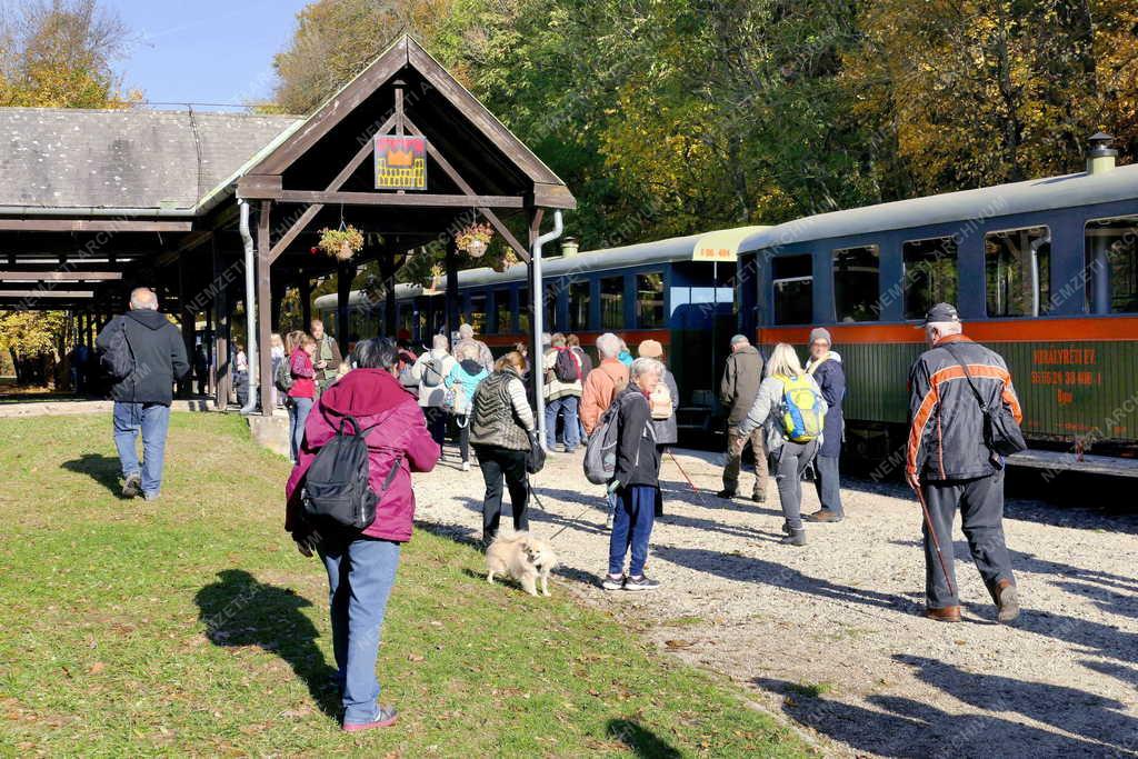 Közlekedés - Turizmus - Királyréti Erdei Vasút