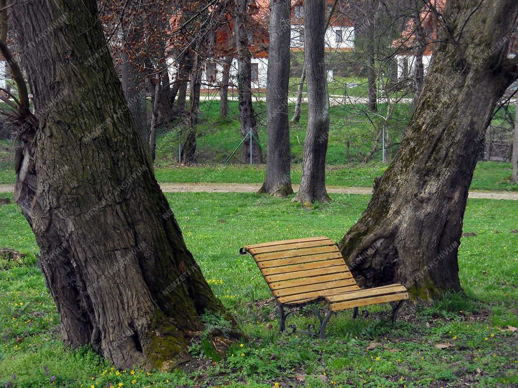 Városkép - Zalacsány - A Batthyány-kastélyszálló parkja