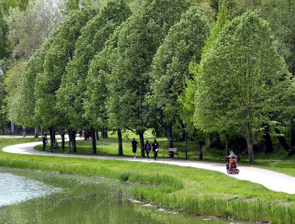 Városkép - Szabadidő - Millenniumi Közpark Tatabányán