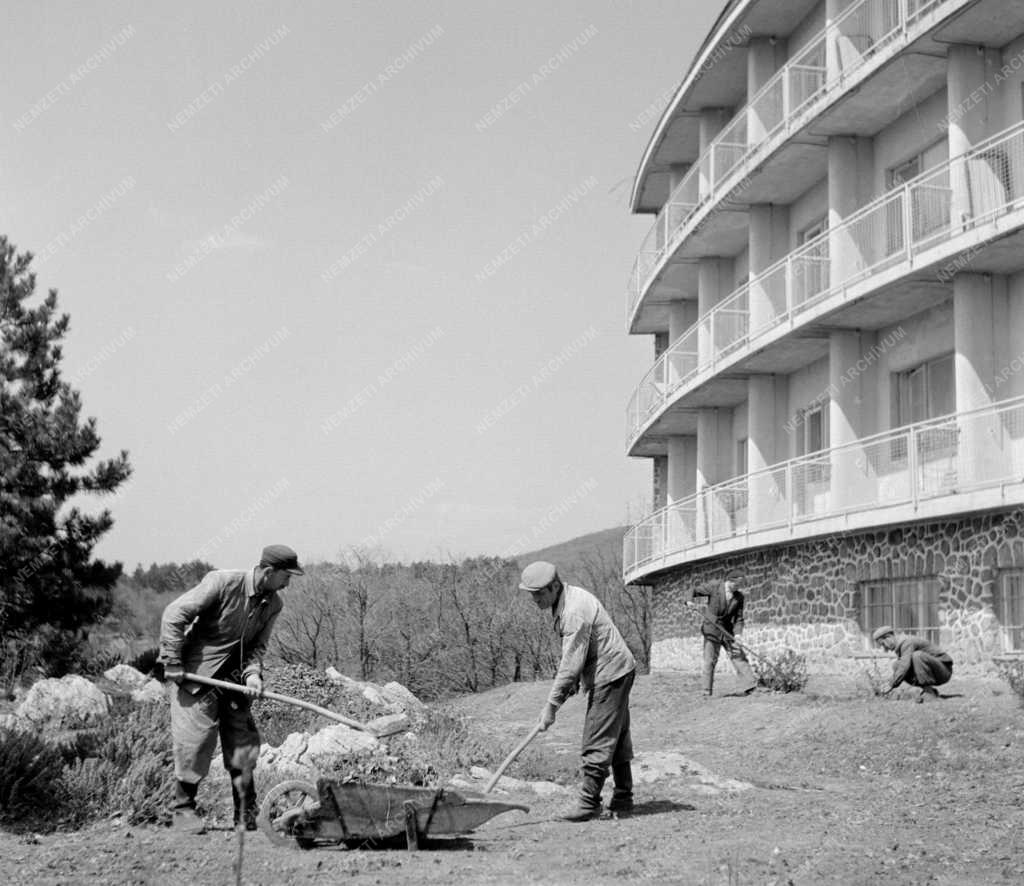 Park - Pécsi Kertészeti Vállalat az Üdülő Szállónál