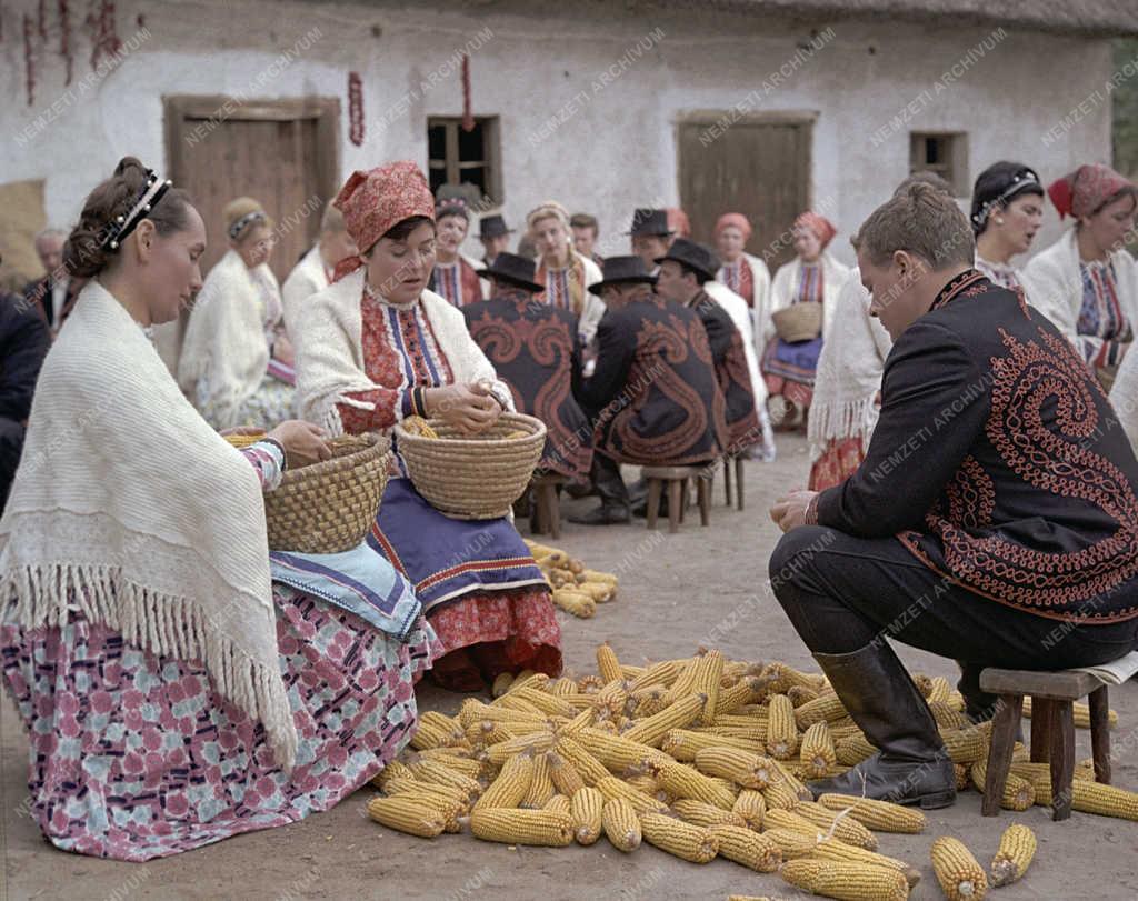 Néphagyomány - Falusi életkép   