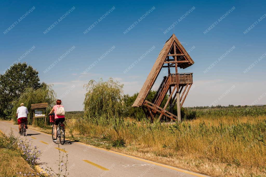 Turizmus - Dinnyési kilátó