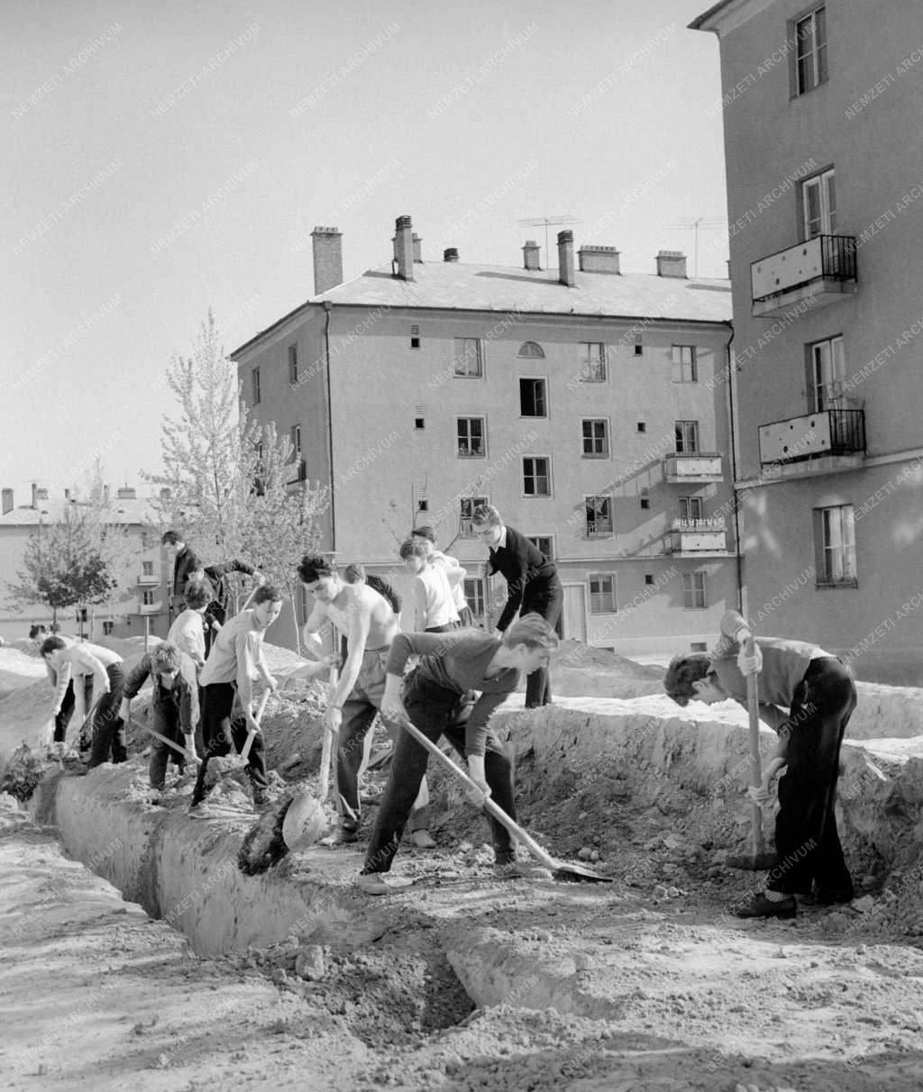 Szervezet - Dunaújvárosi fiatalok társadalmi munkája