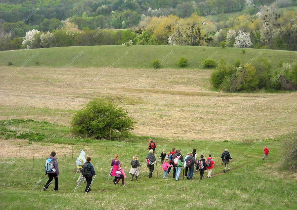 Vértes - Természet - Sport - Turisták 