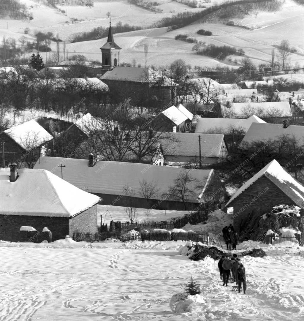 Szabadidő - Szánkózó gyerekek