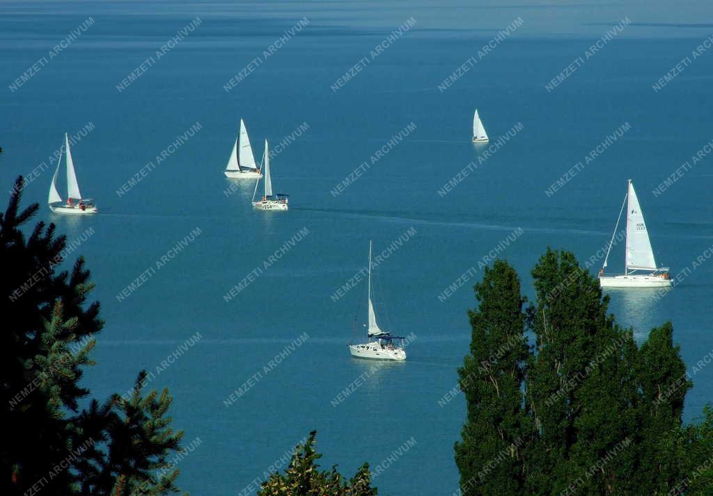 Tájkép - Tihany - Vitorlások a Balatonon