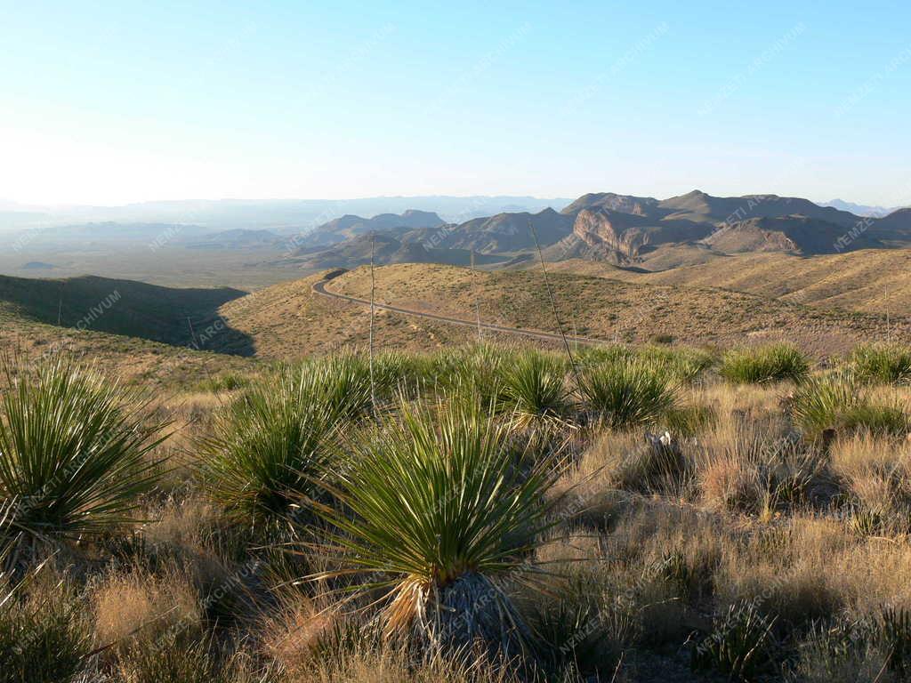 Tájak - Texas - Big Bend Nemzeti Park