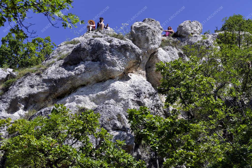 Belföldi turizmus - Pilisborosjenő - Természetjárók a Nagy-Kevély-hegyen