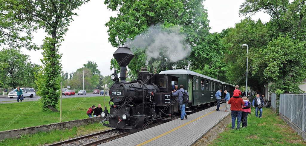 Közlekedés - Debrecen - Zsuzsi Erdei Vasút 