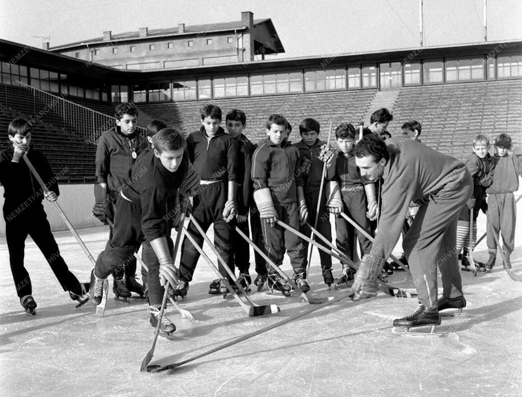 Sport - Jégkorong oktatás