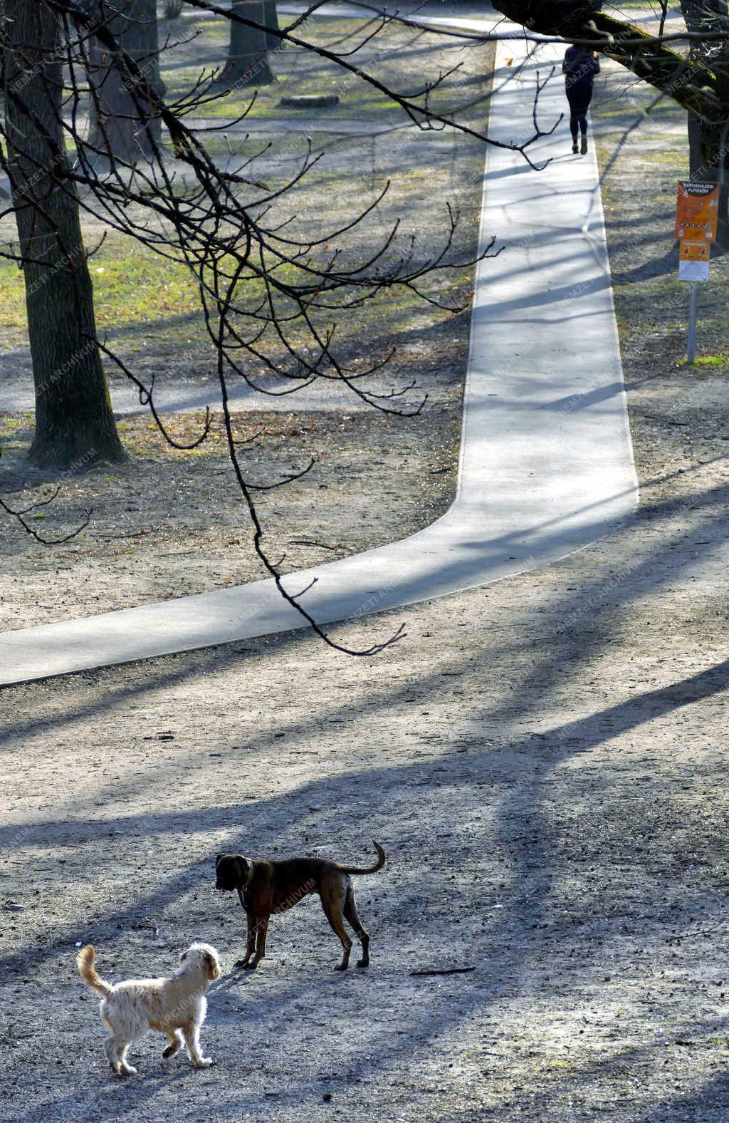 Városkép - Budapest - Városmajor park