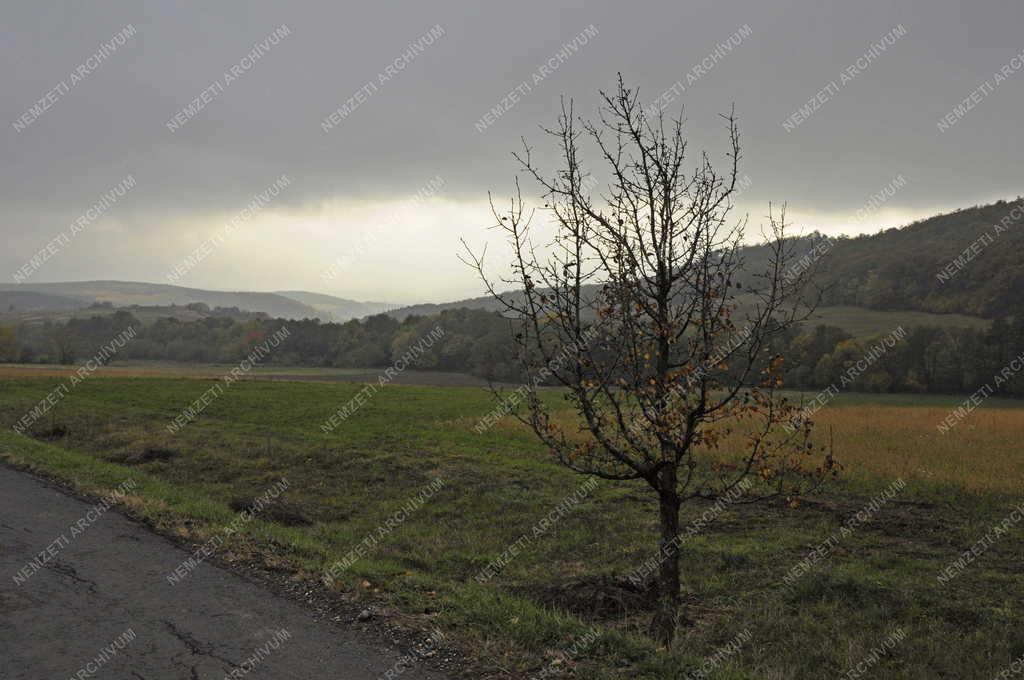 Tájkép - Füzér - Zempléni táj