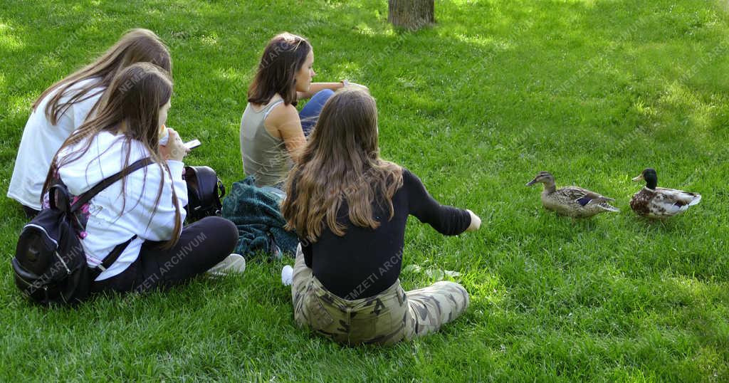 Szabadidő - Budapest - Fiatalok a Kopaszi-gát parkjában