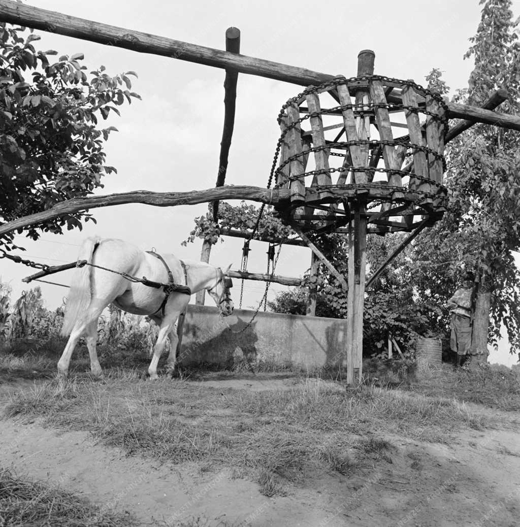 Mezőgazdaság - Az utolsó lóvontatású láncos-kerekes kút