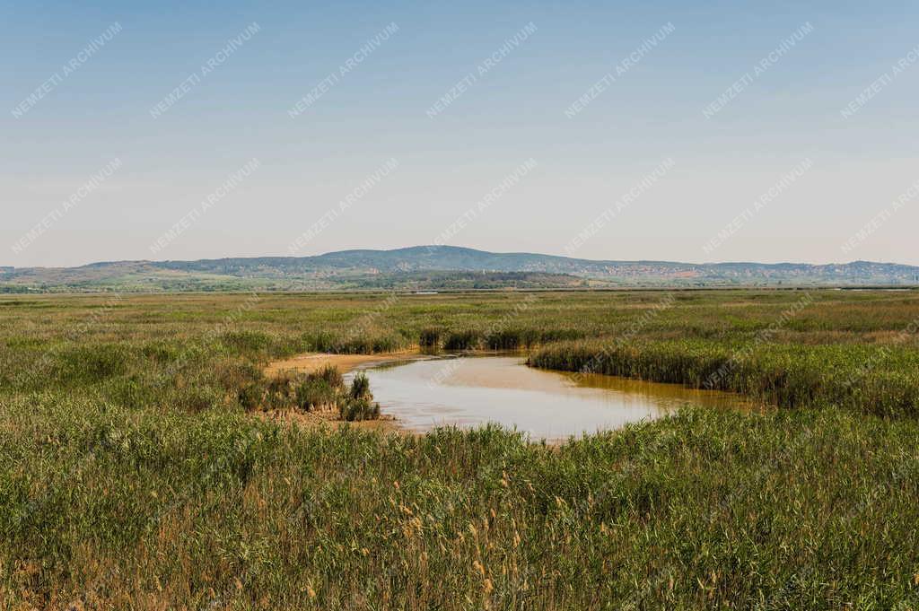 Időjárás - Hőség - Velencei-tó