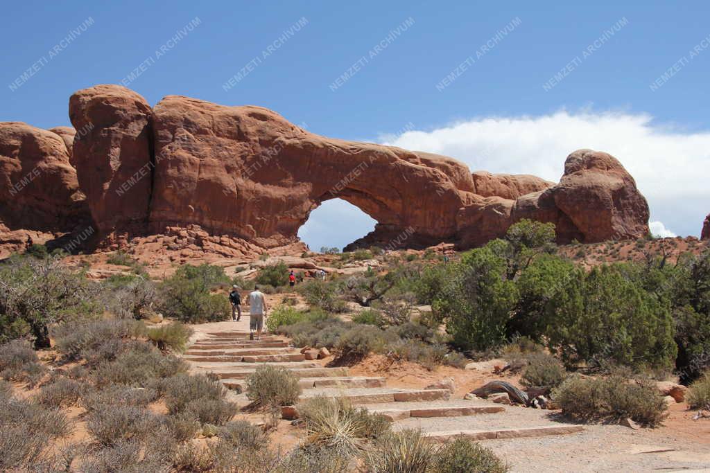 Természet - Sziklaképződmény a Bryce Canyonban