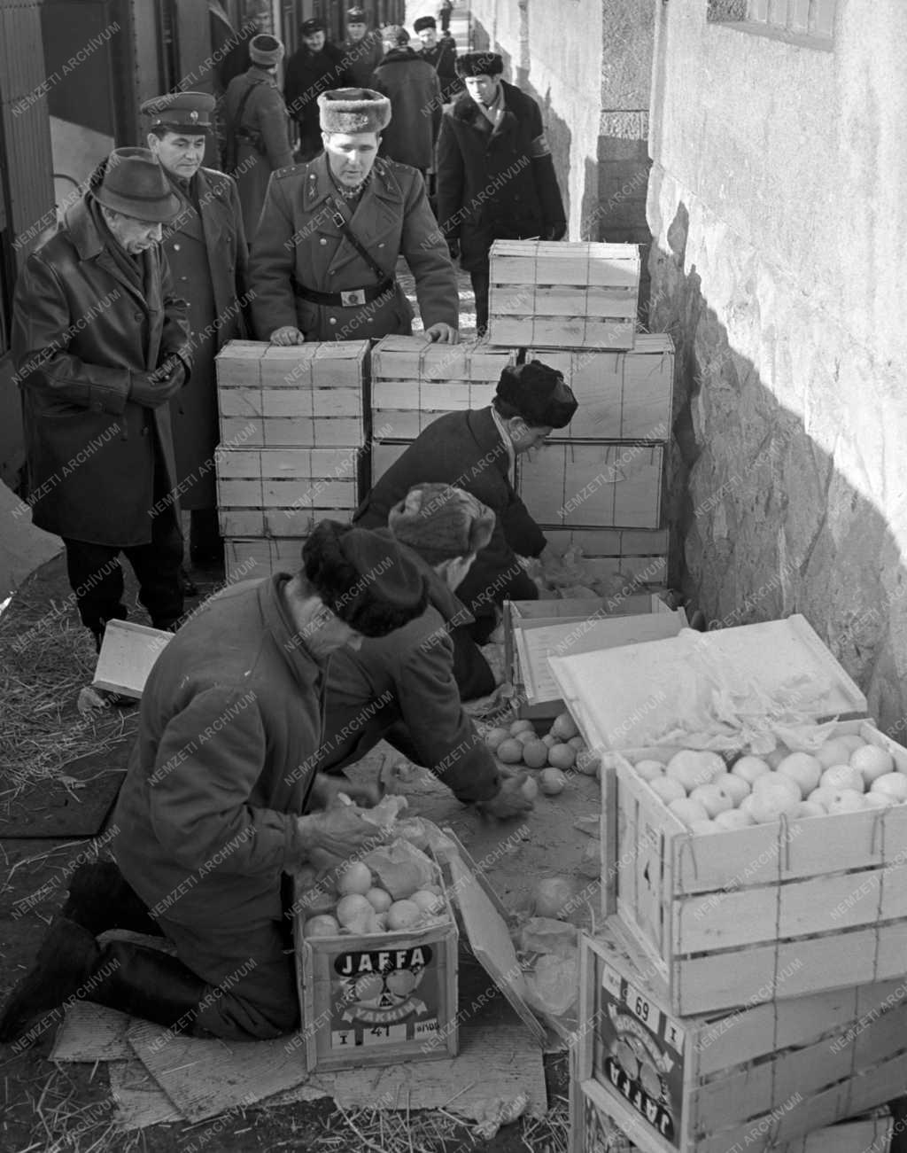 Mezőgazdaság - Magvizsgálat ipari röntgennel