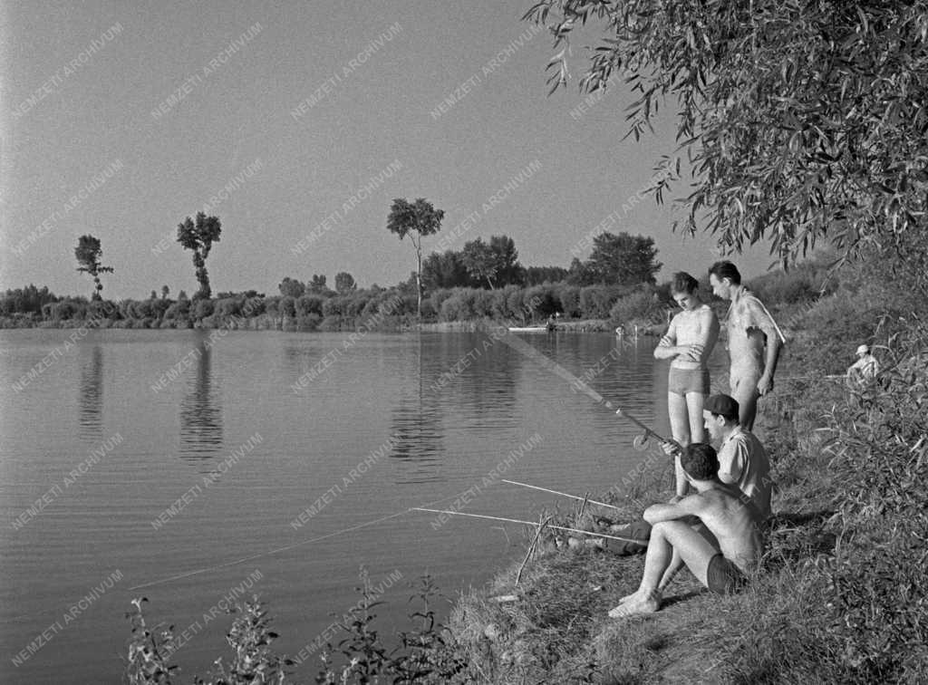 Szabadidő - Horgászok a Tisza-parton