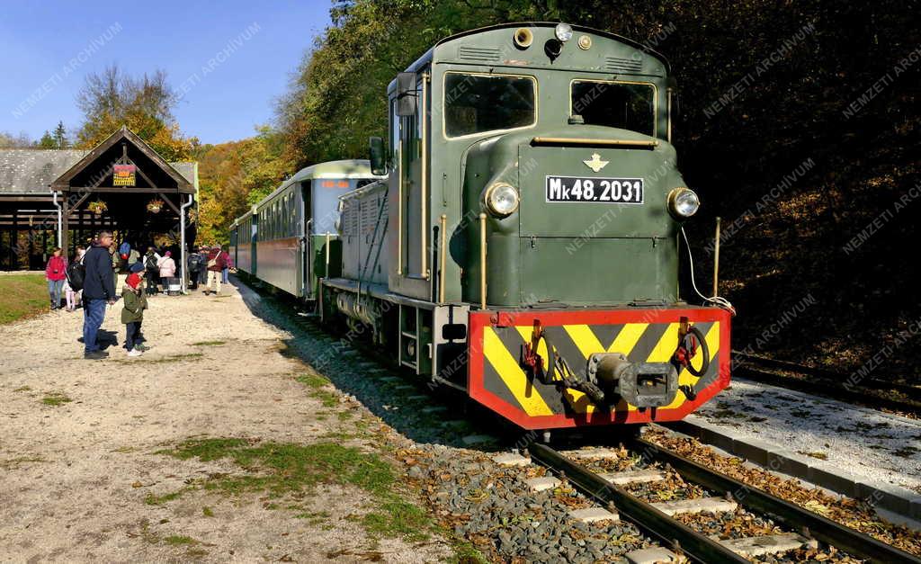 Közlekedés - Turizmus - Királyréti Erdei Vasút