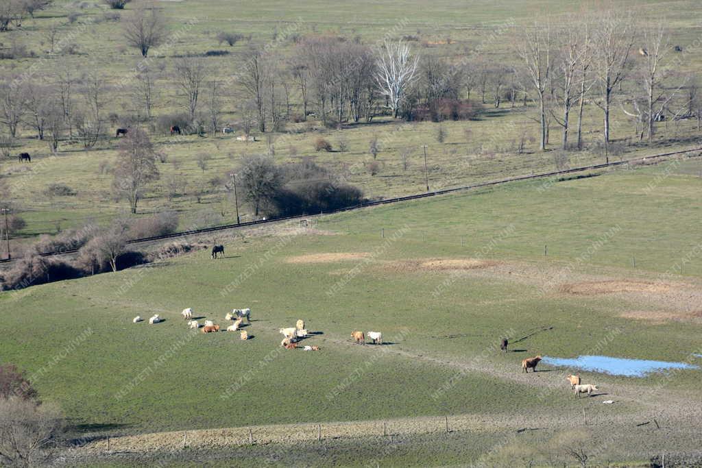 Tájkép - Nógrád - Kilátás a Nógrádi várból