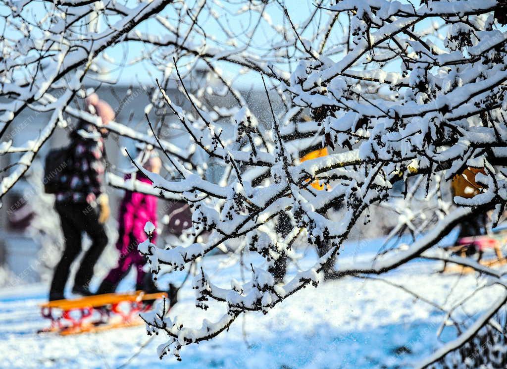 Szabadidő -  Téli szórakozás a debreceni Újkerti lakótelep szánkódombján