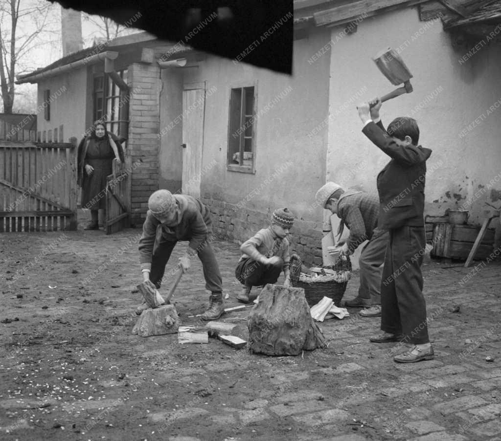 Társadalmi kérdés - Úttörők segítik az időseket