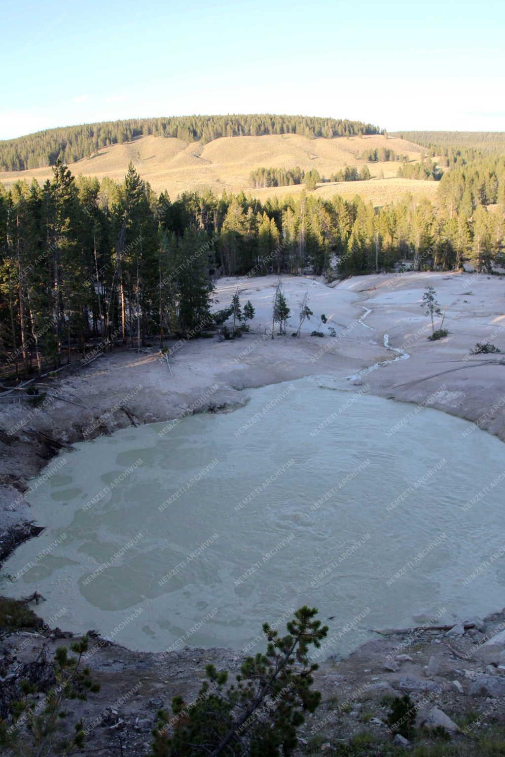 Természet - Yellowstone Nemzeti Park