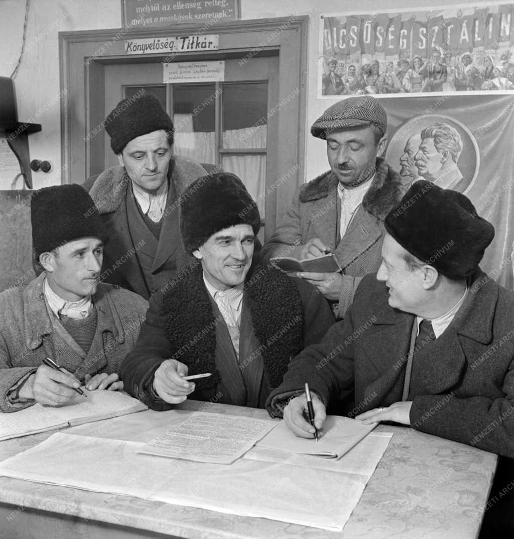 Mezőgazdaság - A mezőtúri termelőszövetkezet