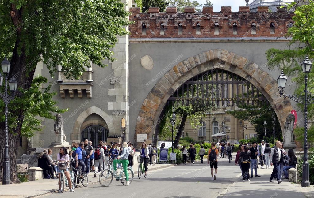 Műemlék - Budapest - Gótikus épületrészlet a Vajdahunyad-várban