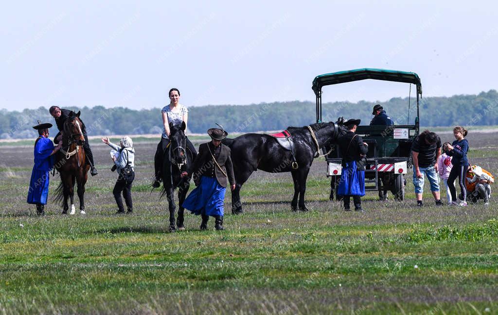 Turizmus - Hortobágy - Csikósok