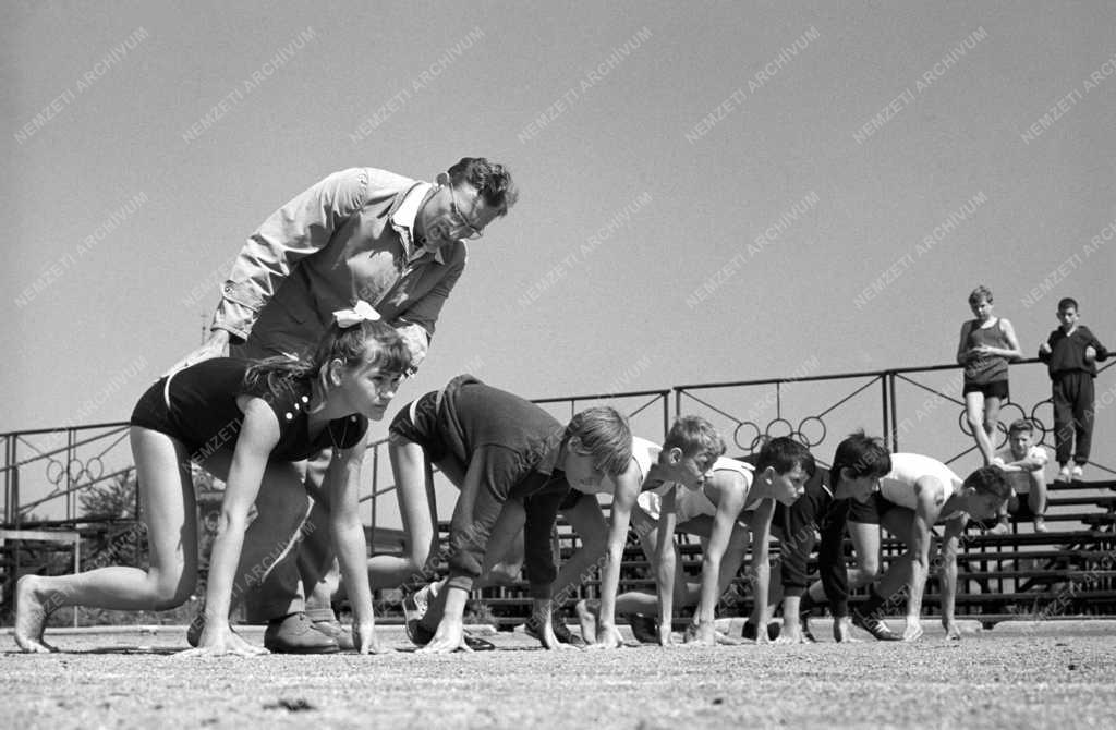 Sport - Magyar Testnevelési és Sportszövetség Központi Sportiskola