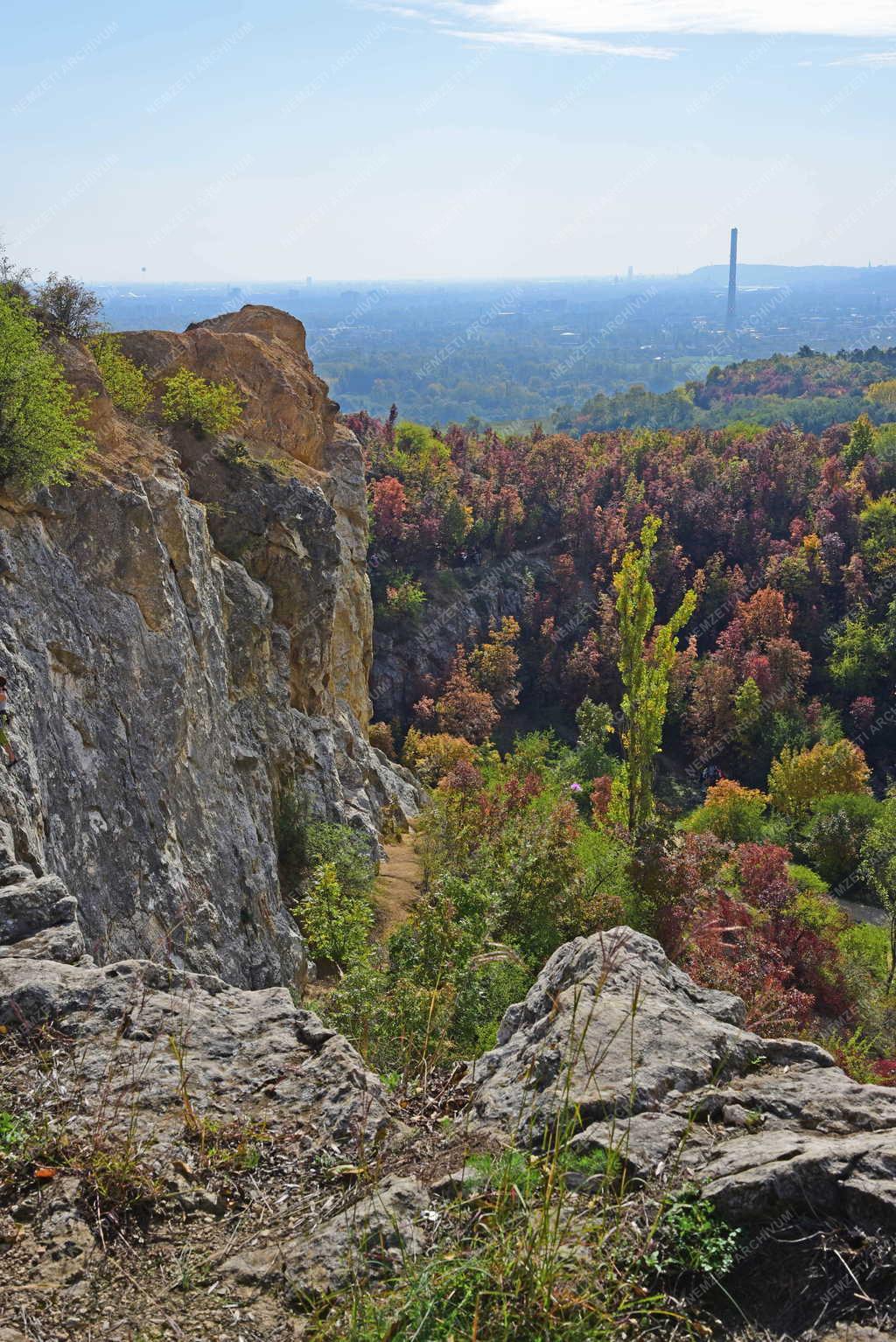 Tájkép - Budapest - Róka-hegyi egykori kőfejtő