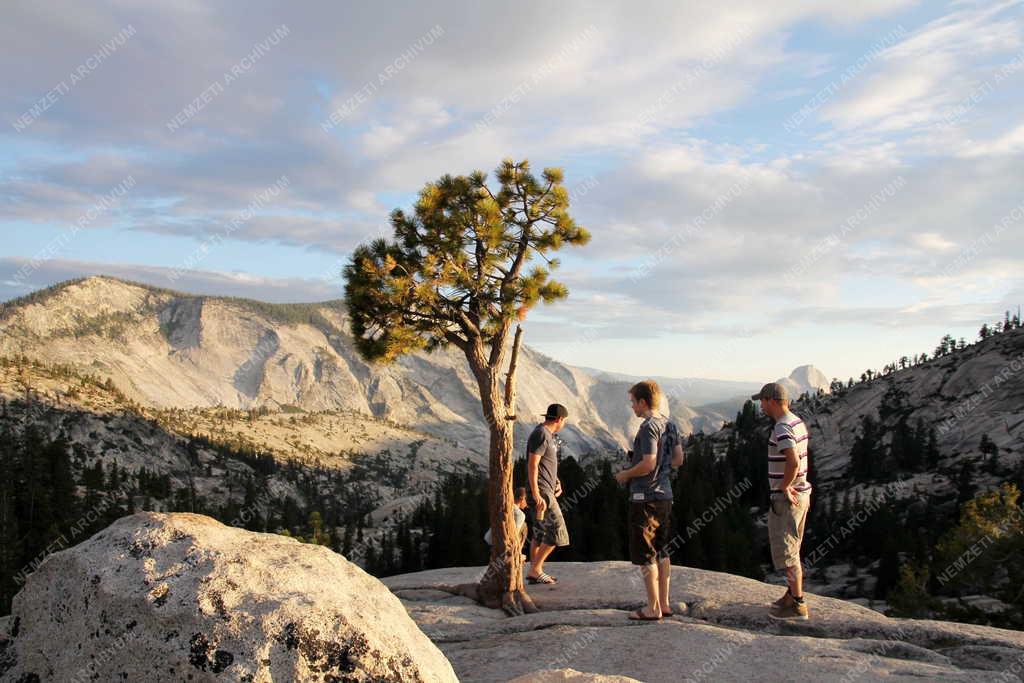 Természet - Naplemente a Yosemite Nemzeti Parkban