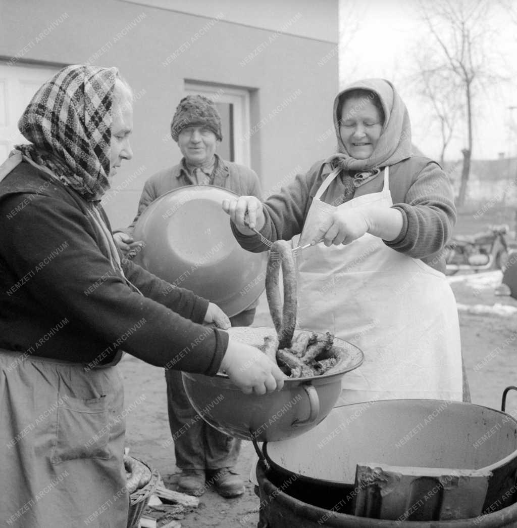 Mezőgazdaság - Zárszámadás a szentlőrinckátai Újvilág Tsz-ben