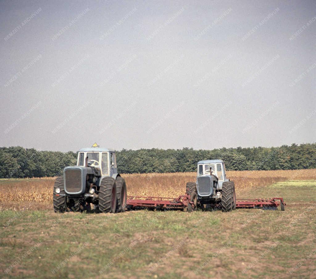 Ipar - Mezőgazdaság - Dutra traktor